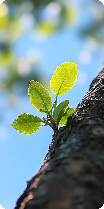 Помогаем сохранять природу
