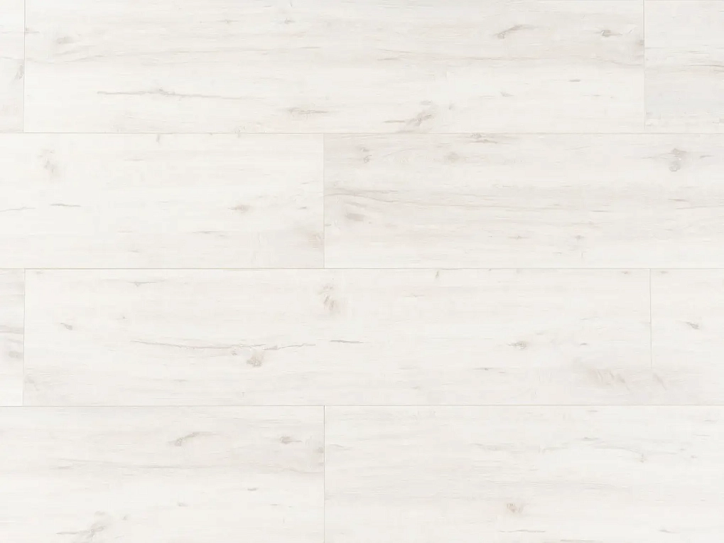 мега эволюция хл